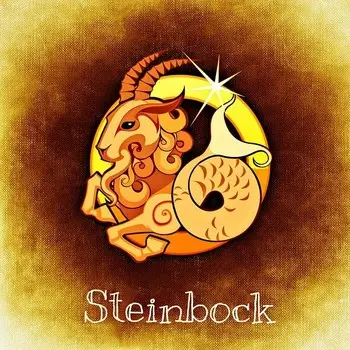 Sternzeichen / Tierkreiszeichen Steinbock